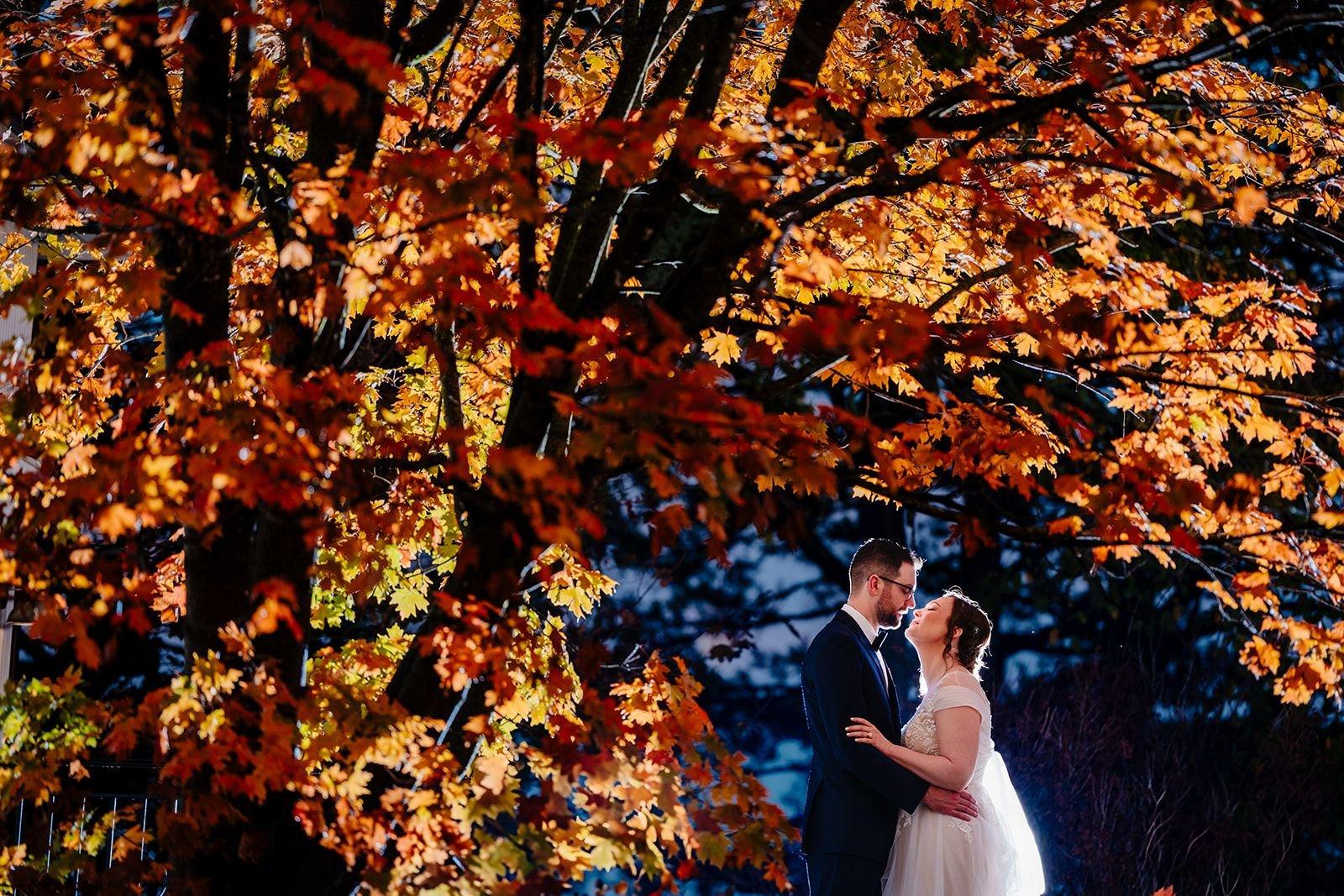 carousel-hero-element image-4